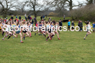 Girls under-15s Northern Cross Country Champs., Camp Hill Estate, Kirklington.  Photo: David T. Hewitson/Sports for All Pics